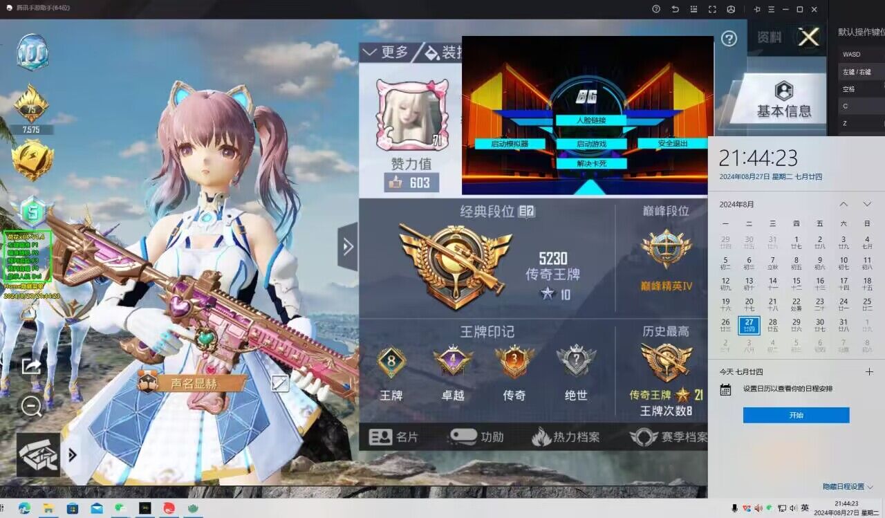 和平精英辅助【内部G简洁版】